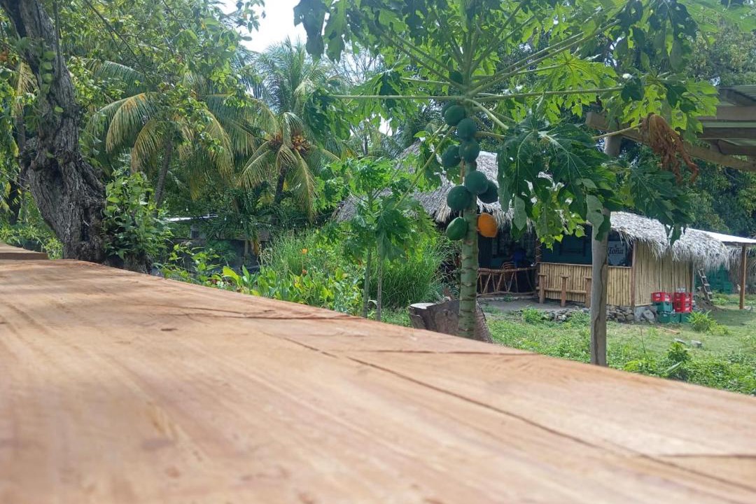 Photo of Others in Altagracia