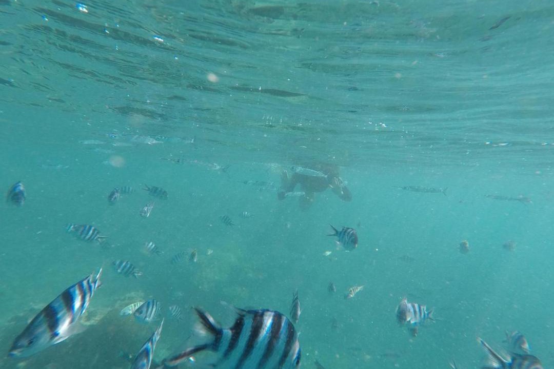 Photo of Others in Korolevu