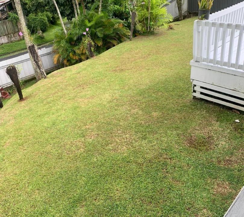 Photo of Others in Suva
