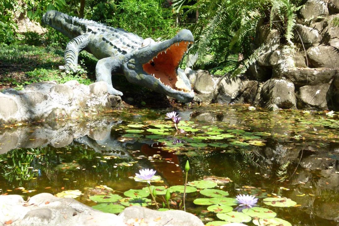 Photo of Others in Cabo Blanco