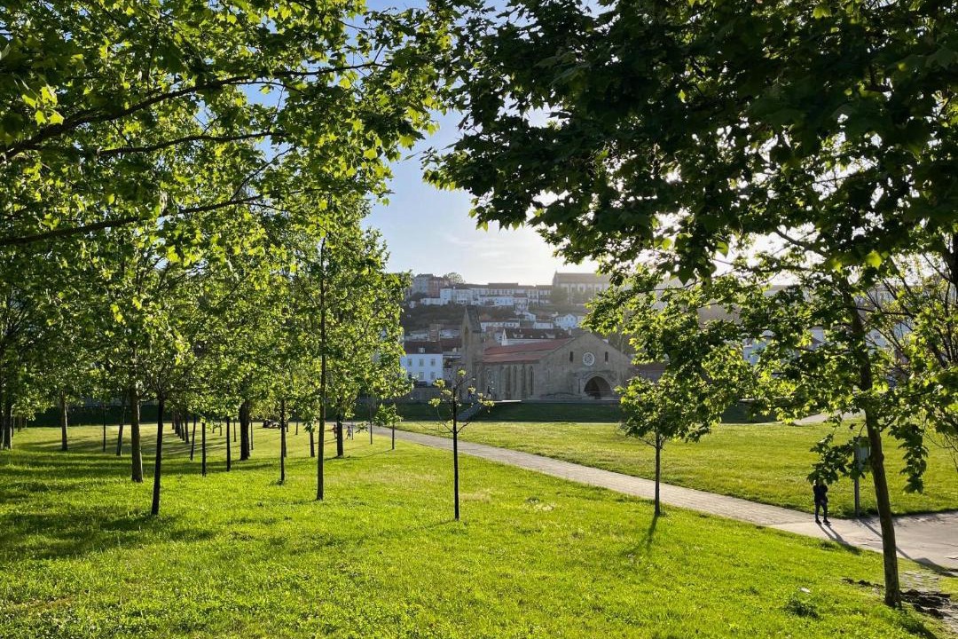 Photo of Others in Coimbra