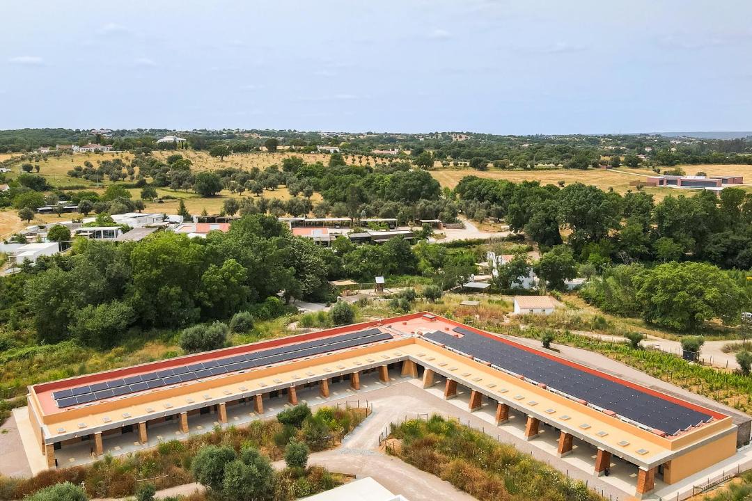Photo of Others in Montemor-o-Novo