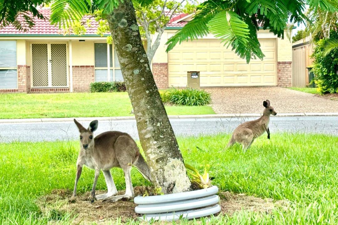 Photo of Others in Sandstone Point