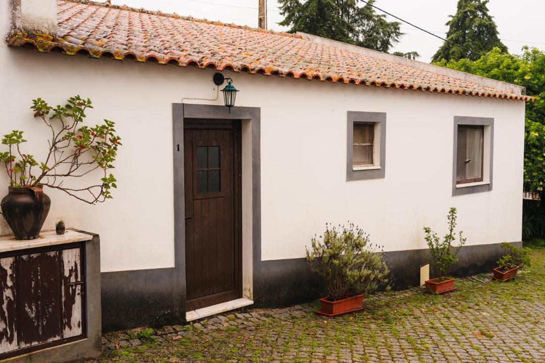 Photo of Others in Veiros