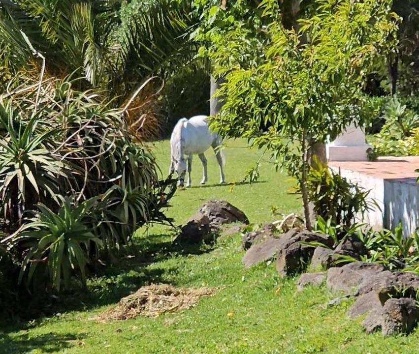 Photo of Others in Sao Joao das Lampas