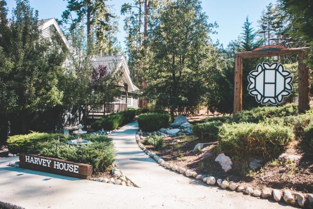 Photo of Others in Idyllwild
