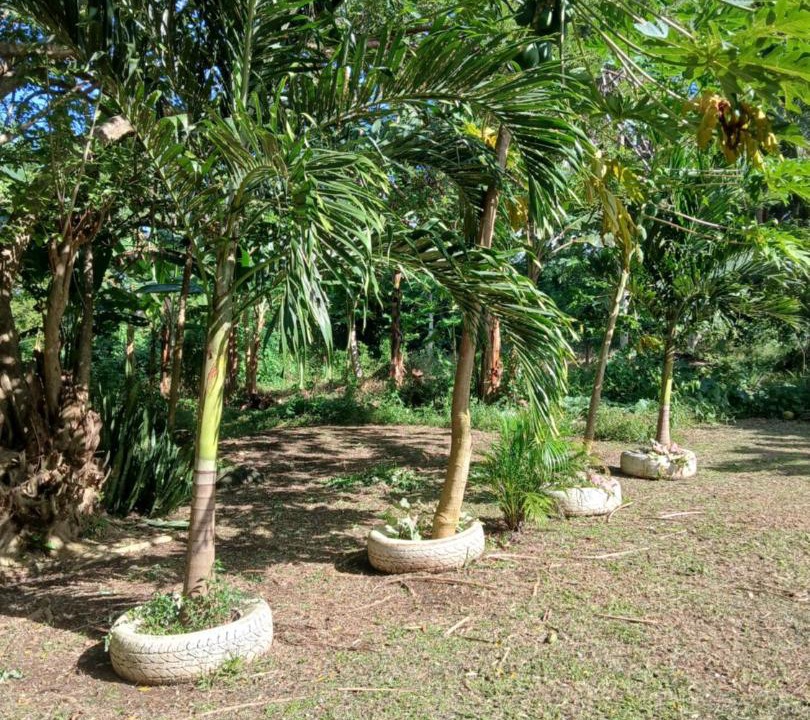 Photo of Outdoor in Korolevu