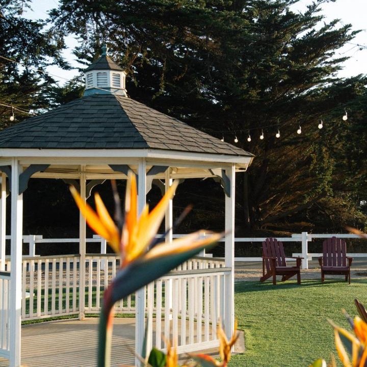 Photo of Others in San Simeon