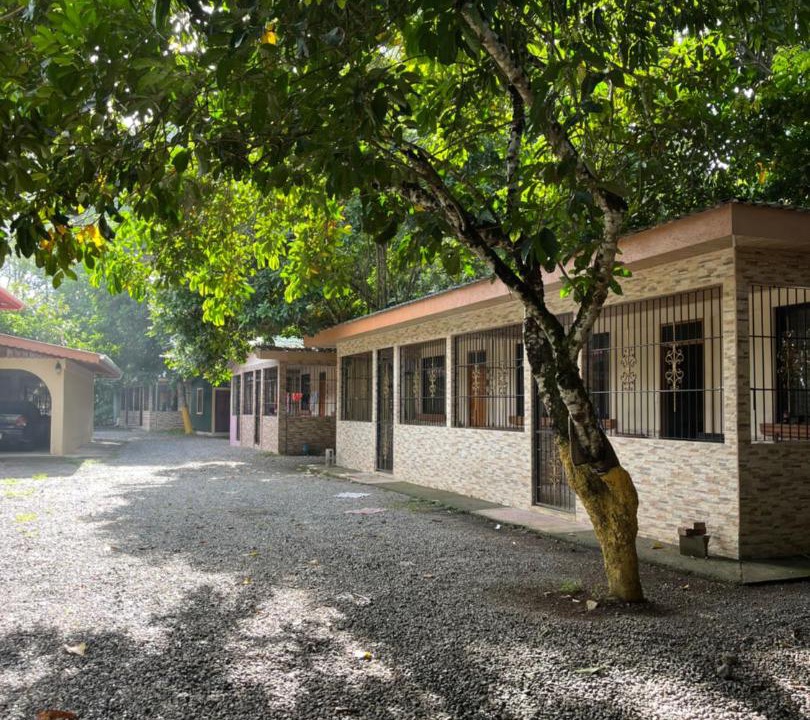 Photo of Others in Puerto Viejo de Talamanca