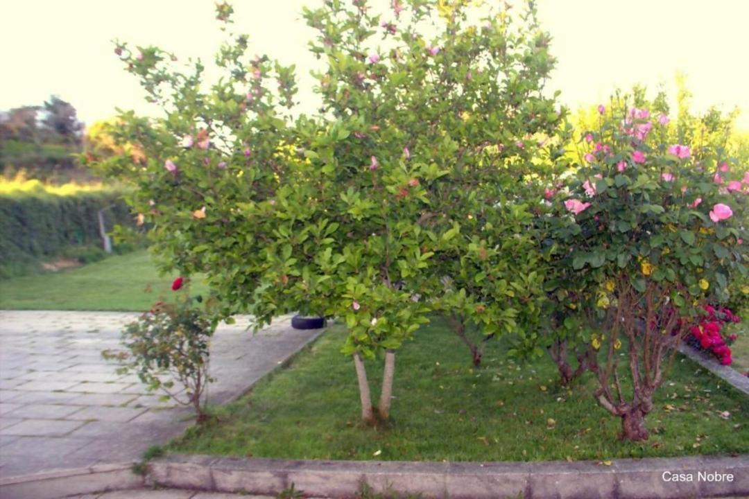 Photo of Outdoor in Moitas