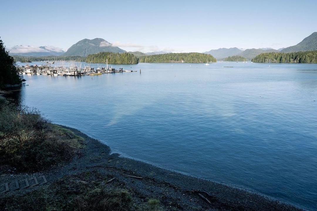 Photo of Others in Tofino