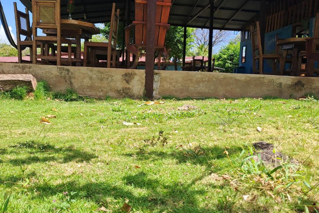 Photo of Others in Merida