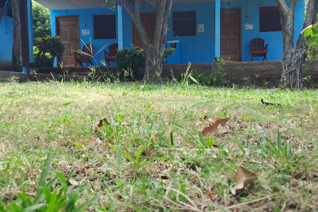 Photo of Others in Merida