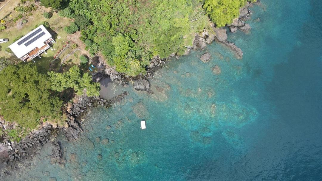 Photo of Others in Taveuni Island West