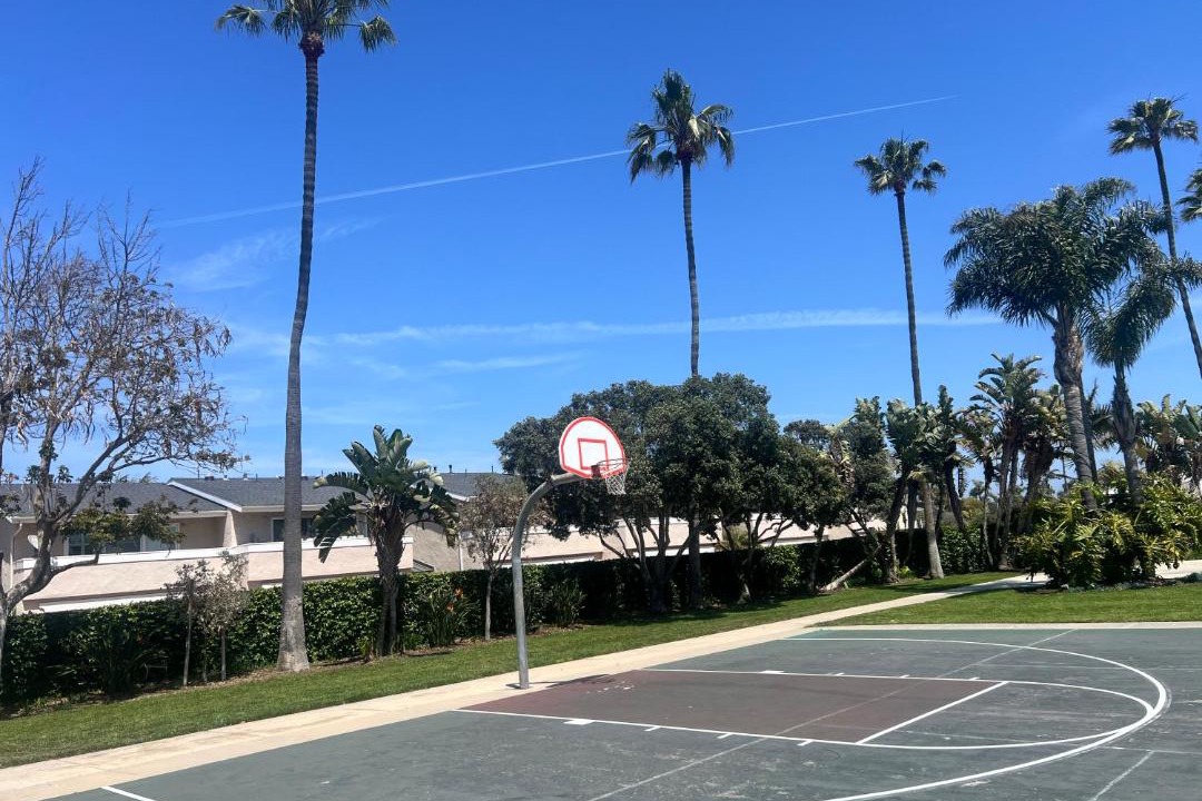 Photo of Others in West Newport