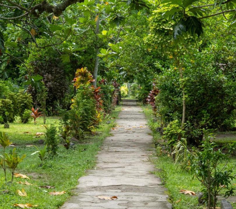 Photo of Outdoor in Yasawa Island