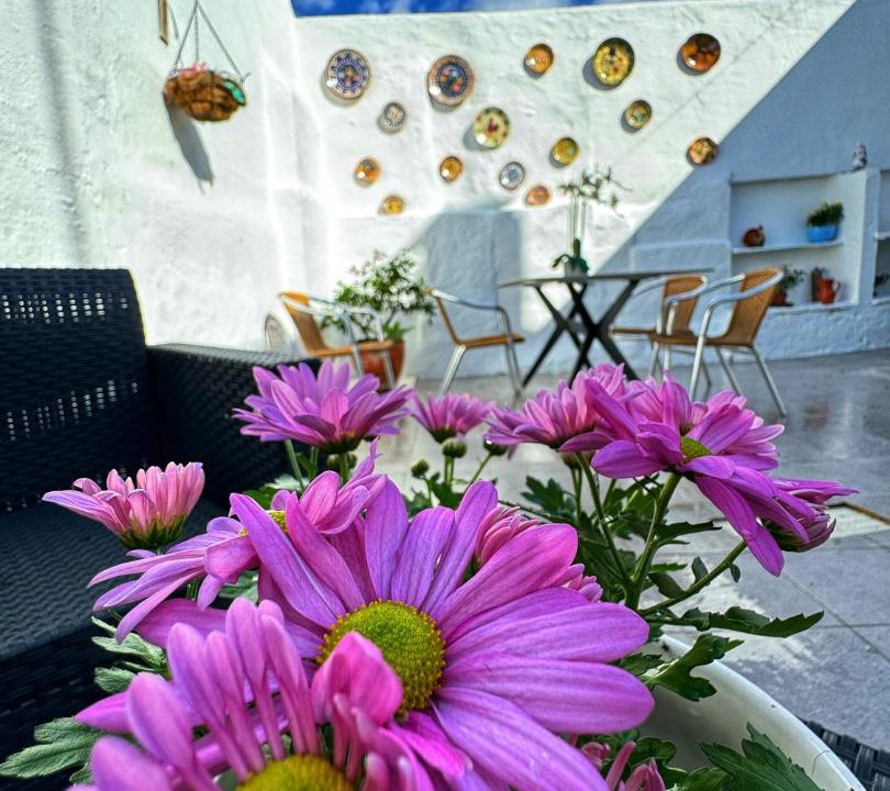 Photo of Patio Balcony in Reguengos de Monsaraz
