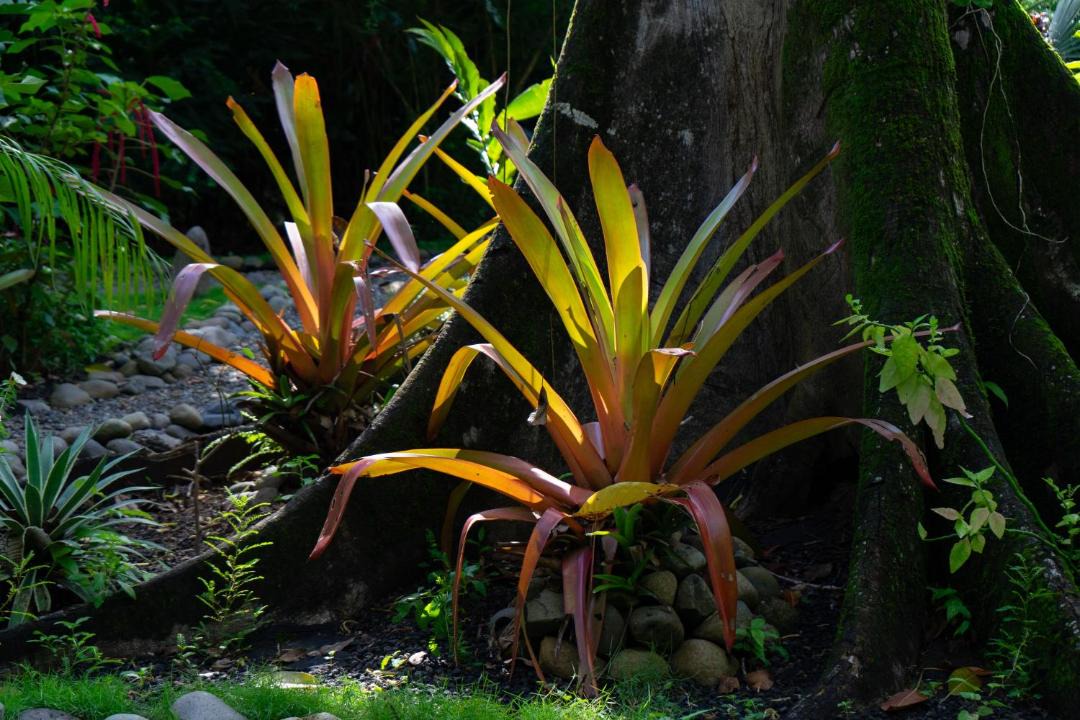 Photo of Others in Chiguata