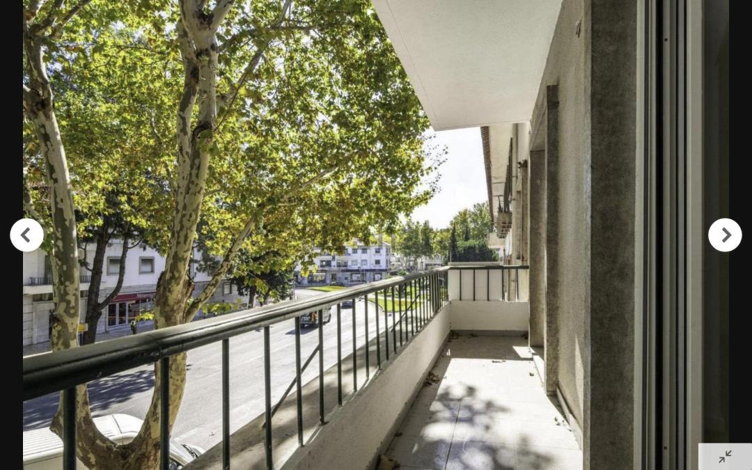Photo of Others in Cascais