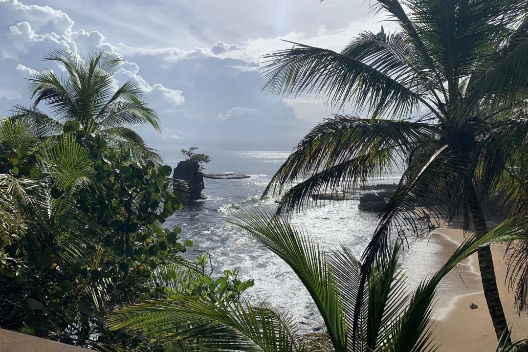 Photo of Others in Manzanillo