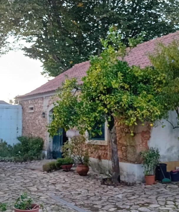 Photo of Others in Ourem