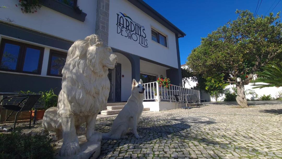 Photo of Others in Setubal