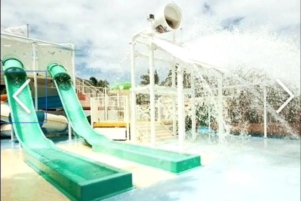 Photo of Others in Mermaid Beach