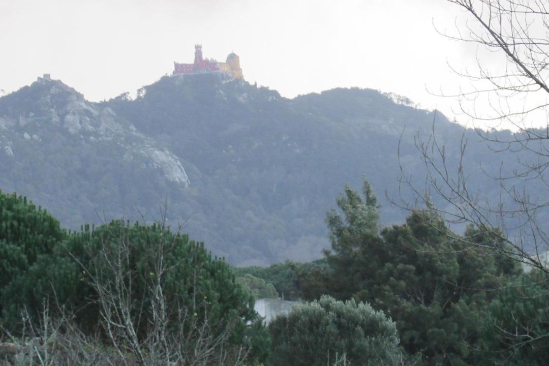 Photo of Others in Sintra