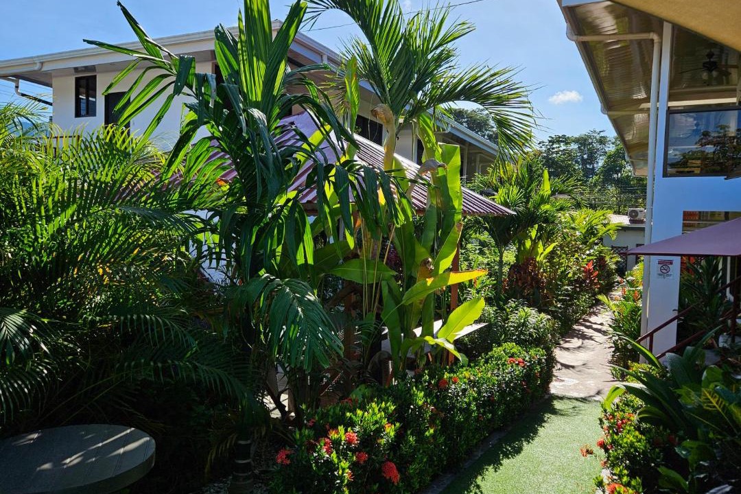 Photo of Others in Uvita