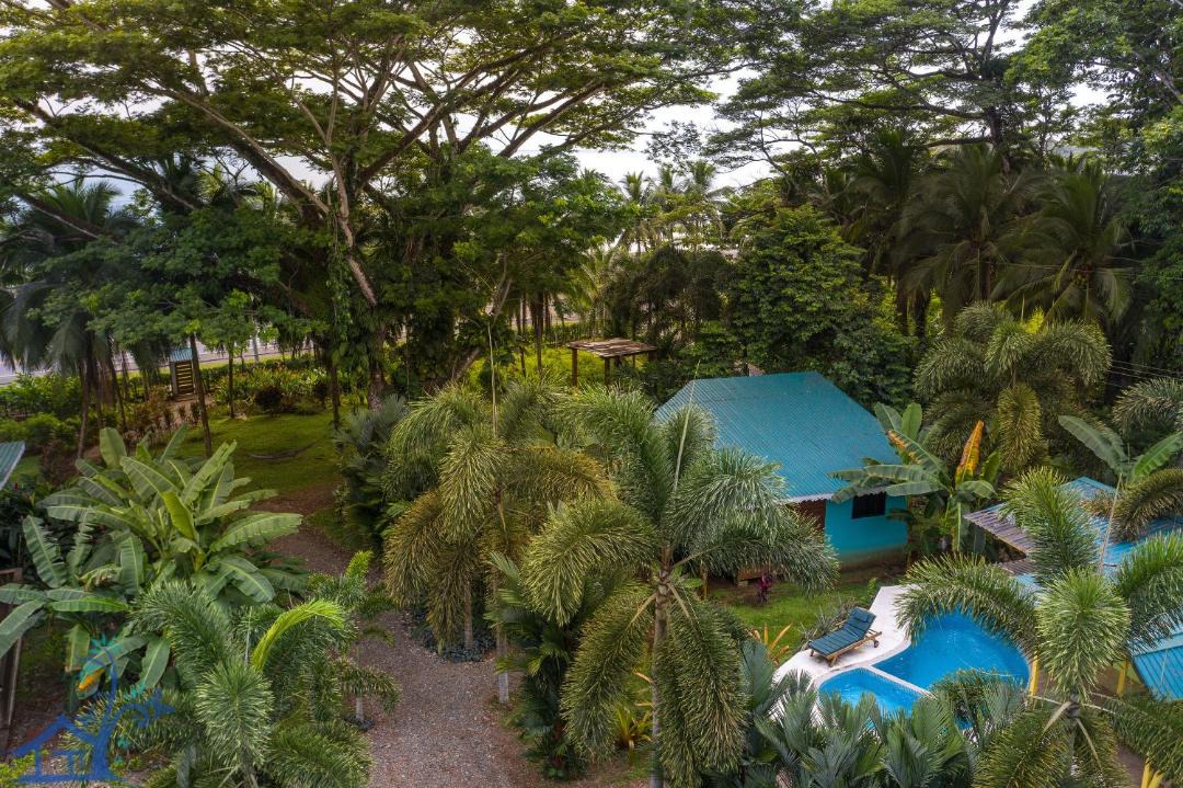 Photo of Others in Puerto Viejo de Talamanca