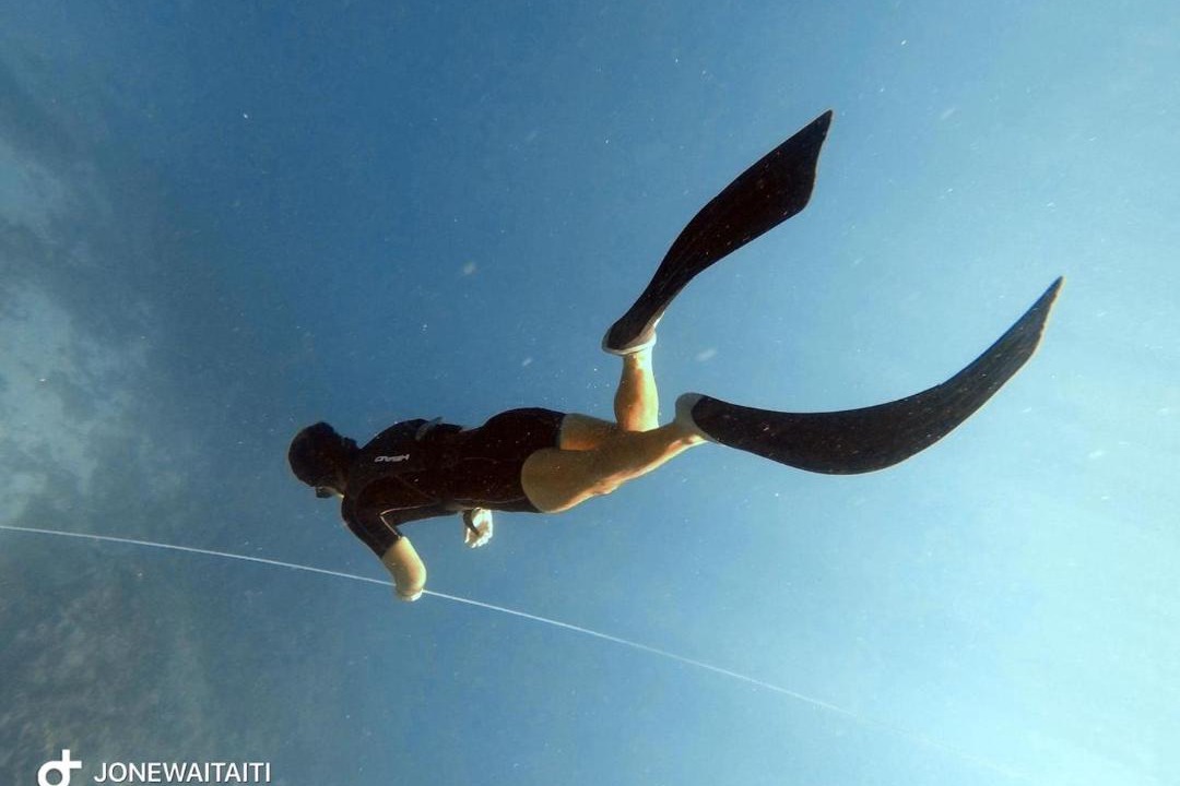 Photo of Others in Viani Bay