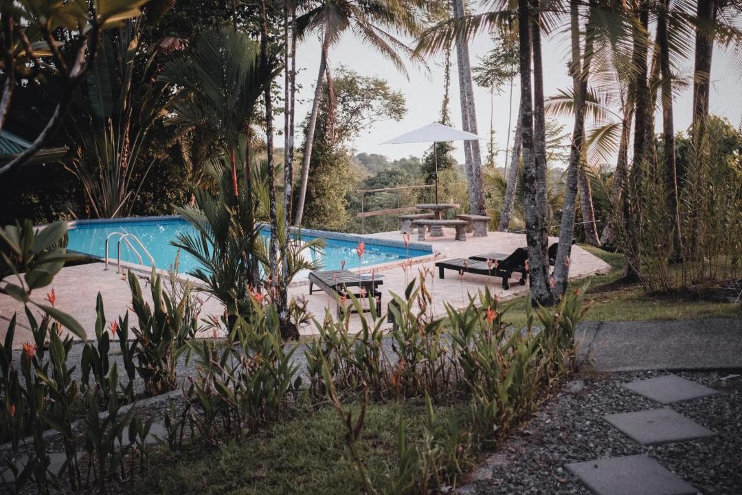Photo of Others in Ballena