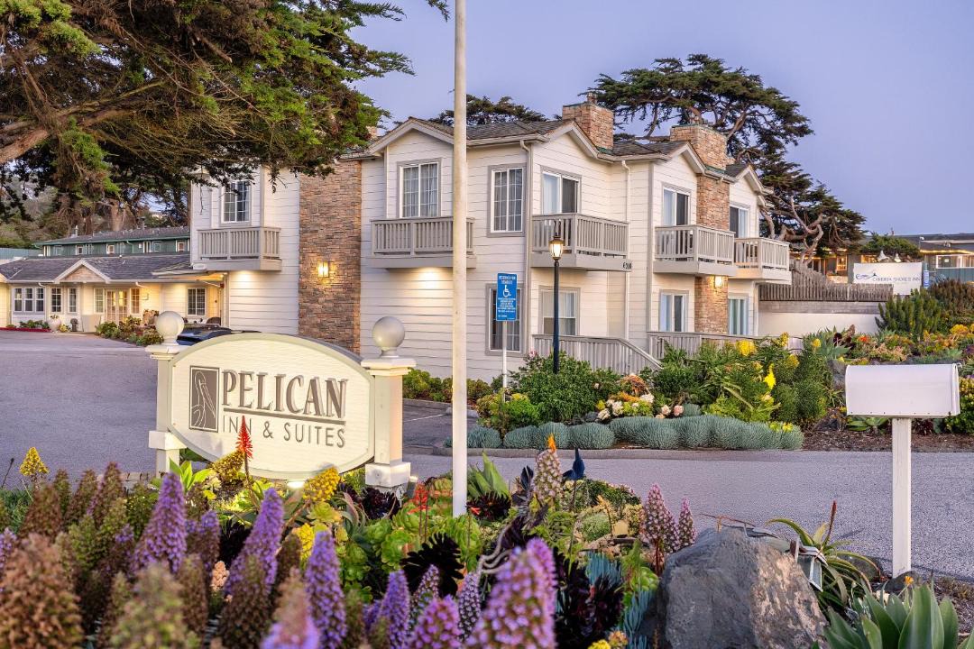 Photo of Others in San Simeon
