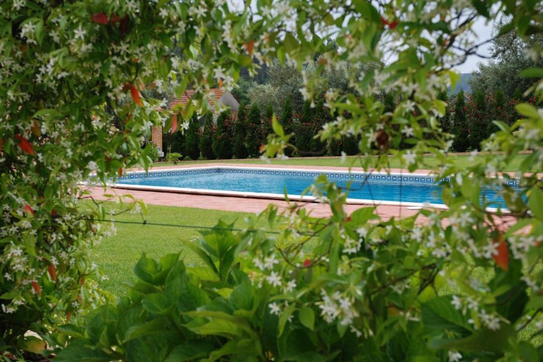 Photo of Outdoor in Ourem