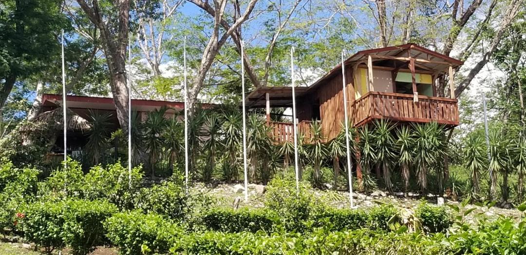 Photo of Others in Lepanto