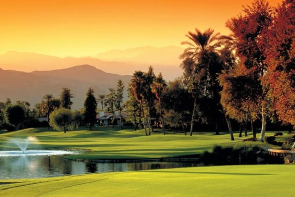 Photo of Others in Palm Desert