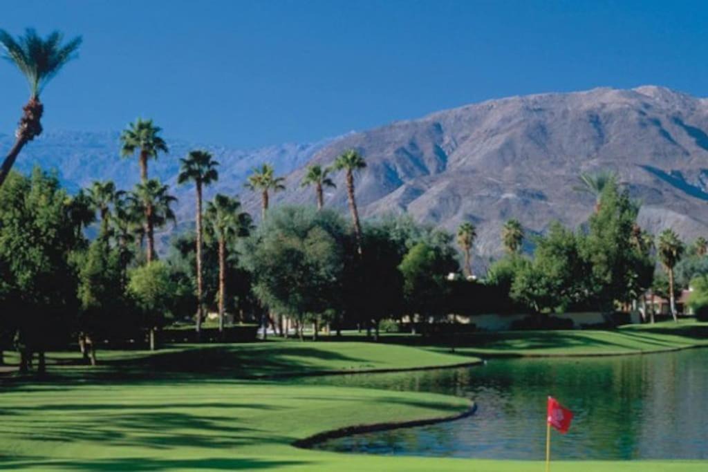 Photo of Others in Palm Desert