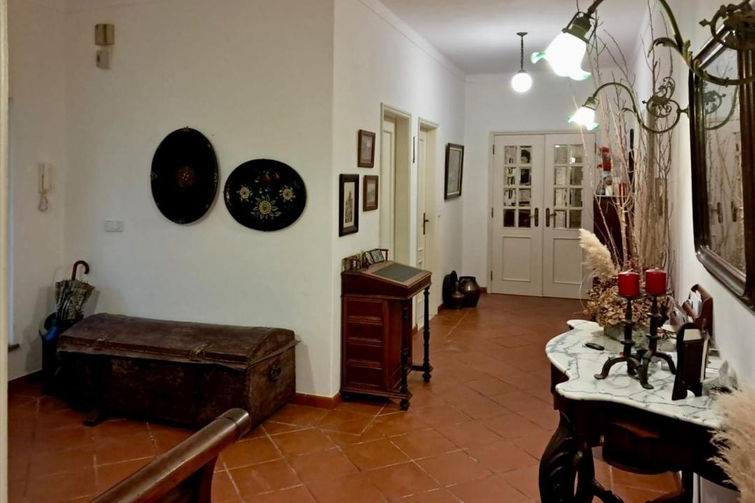 Photo of Others in Evora