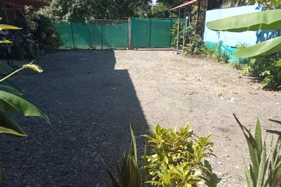 Photo of Others in Cahuita