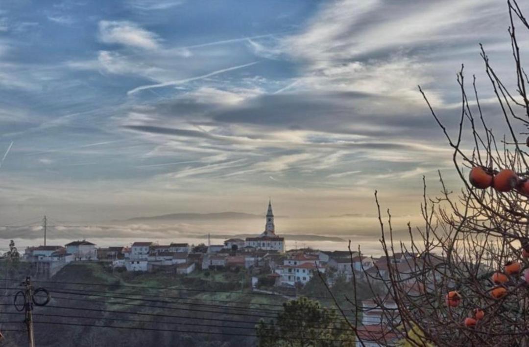 Photo of Others in Miranda do Corvo