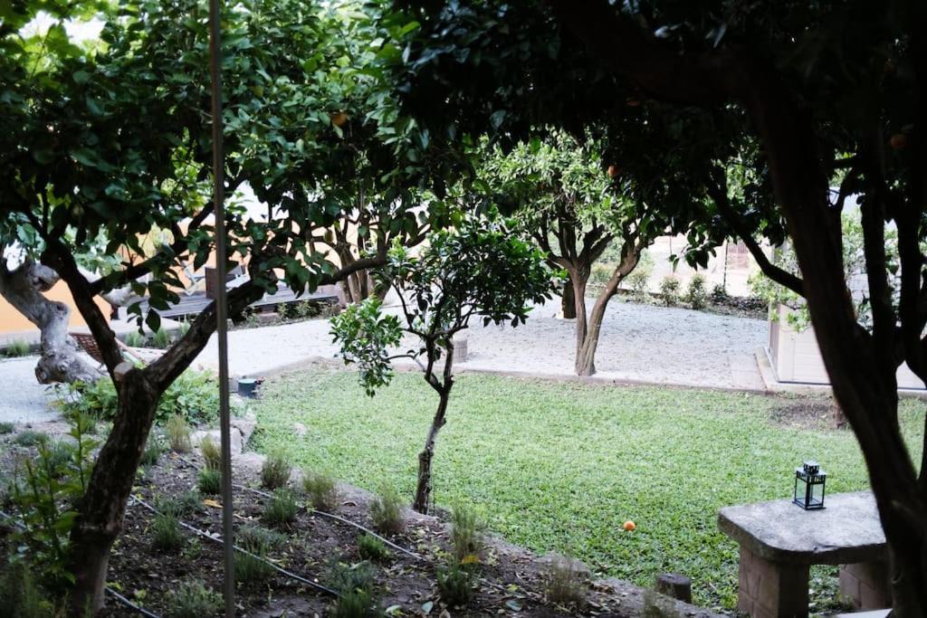 Photo of Others in Sao Joao da Pesqueira