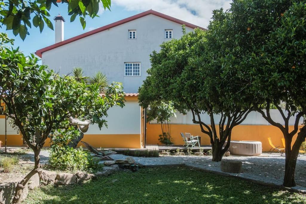 Photo of Others in Sao Joao da Pesqueira