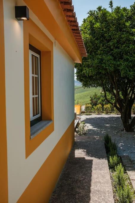 Photo of Others in Sao Joao da Pesqueira