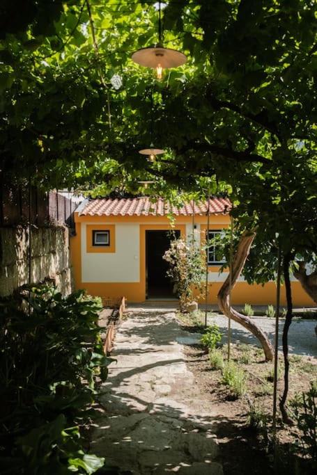 Photo of Others in Sao Joao da Pesqueira