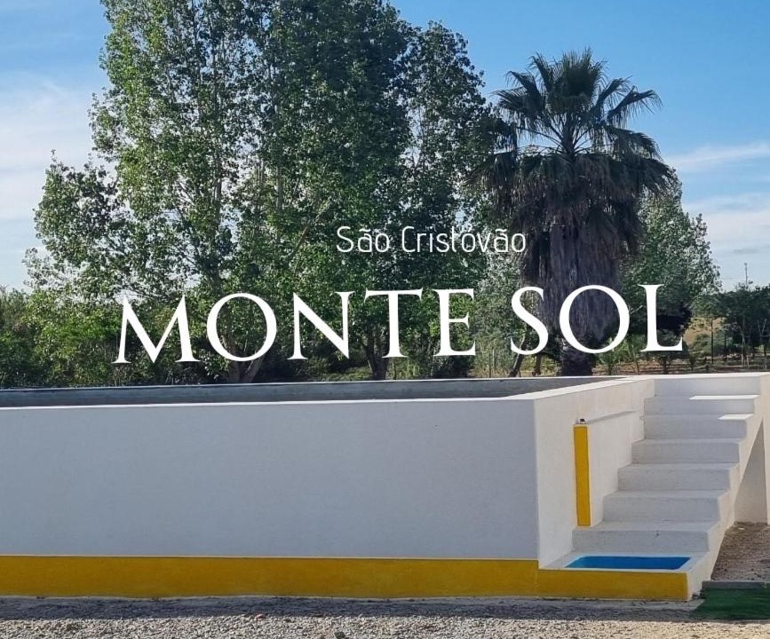 Photo of Others in Montemor-o-Novo