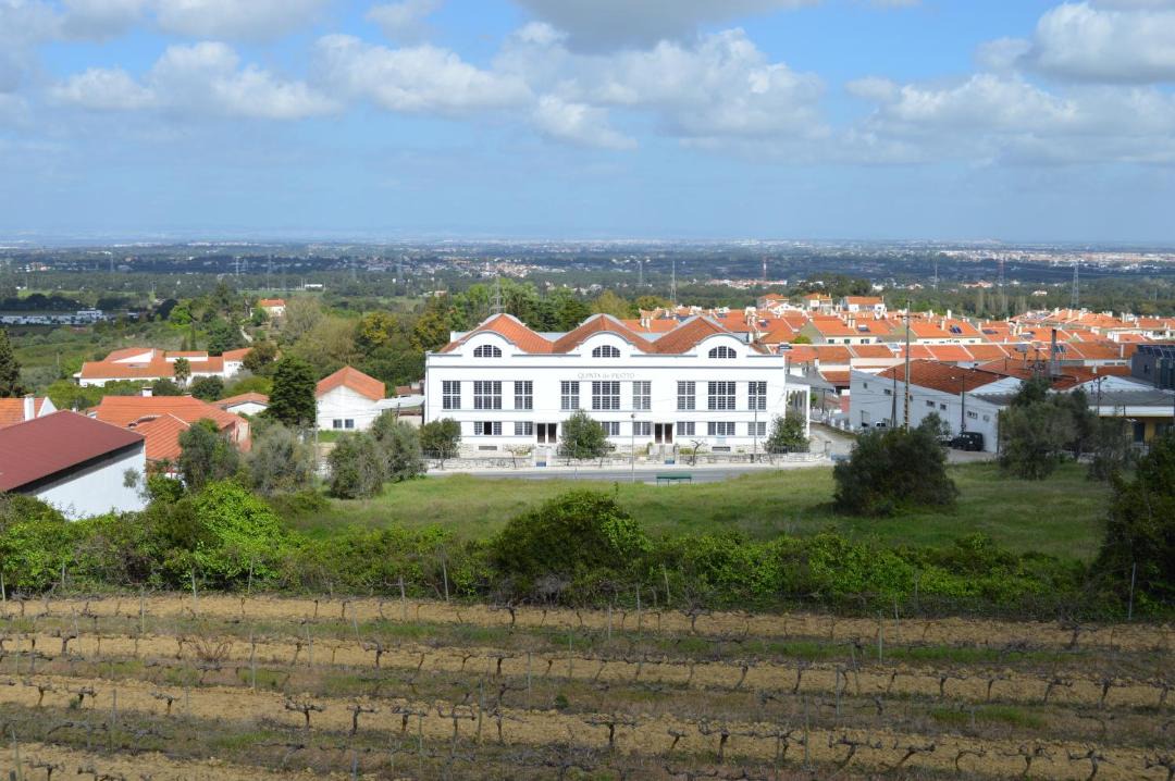 Photo of Buildings in Setubal
