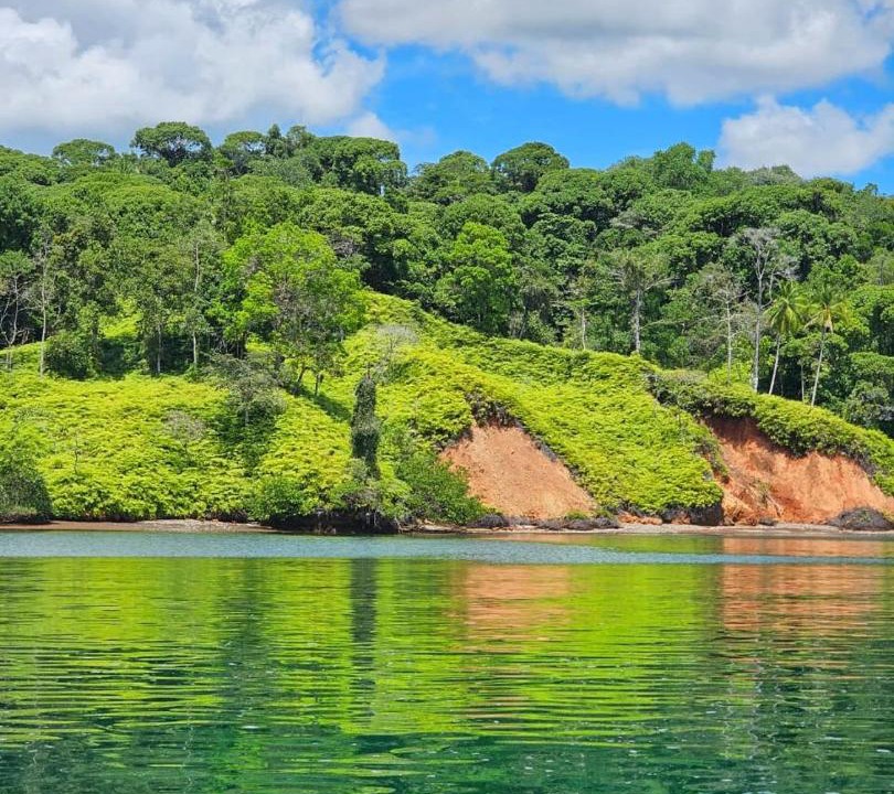 Photo of Others in Rincon