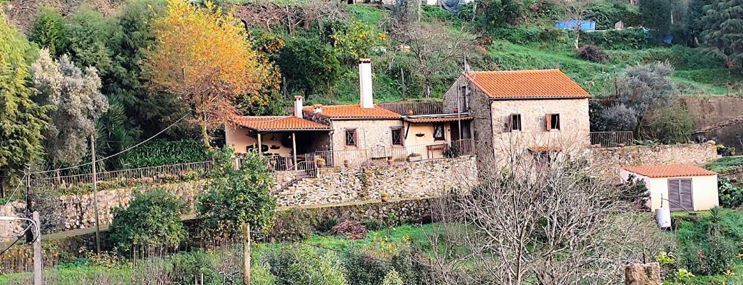 Photo of Others in Sever do Vouga