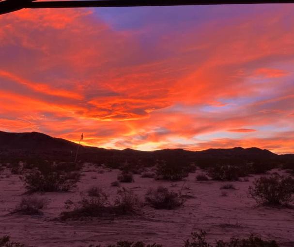 Photo of Others in Joshua Tree