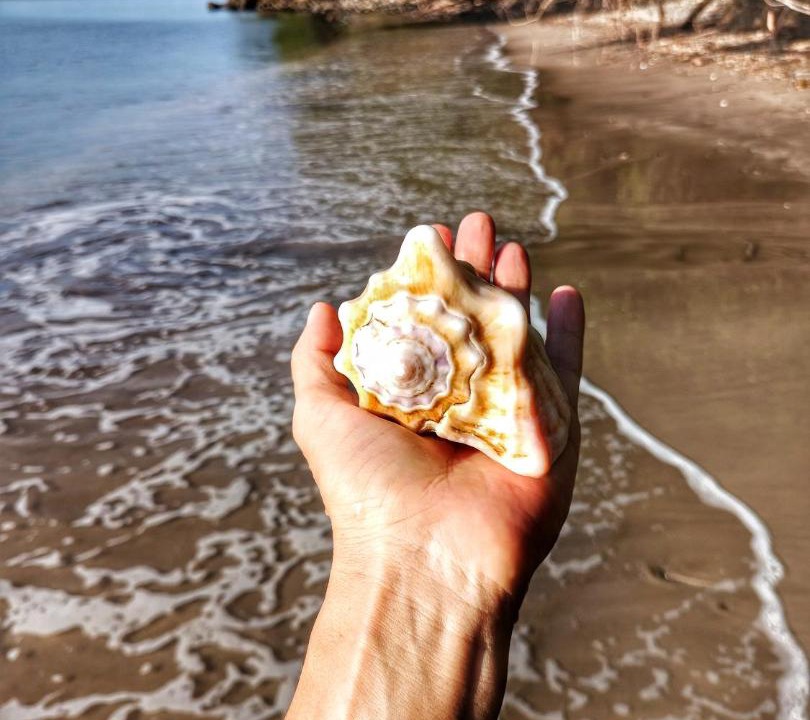 Photo of Others in Rincon